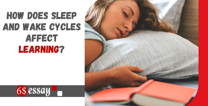 How Does Sleep And Wake Cycles Affect Learning