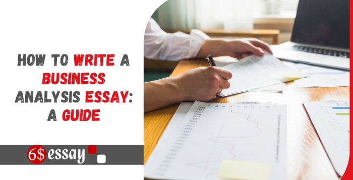 How to write a Business Analysis Essay A Guide