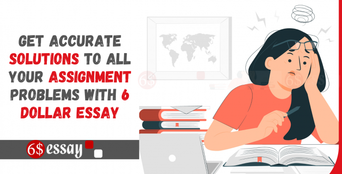 Get Accurate Solutions To All Your Assignment Problems With 6 Dollar Essay